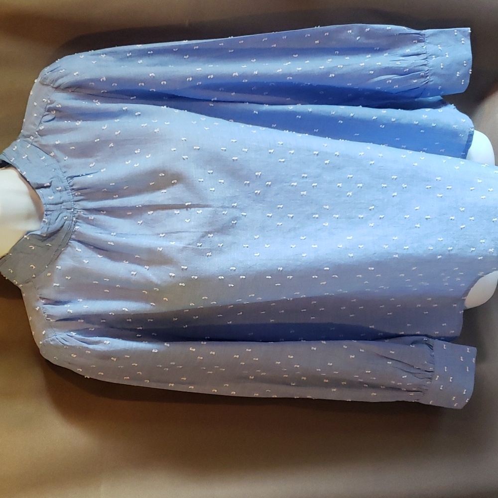 Loft Pale Blue Long Sleeve Mock Neck Blouse Size Small - NEW